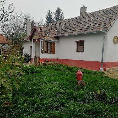Traditionelles Bauernhaus Flieder Zalaszentgrót Exterior foto