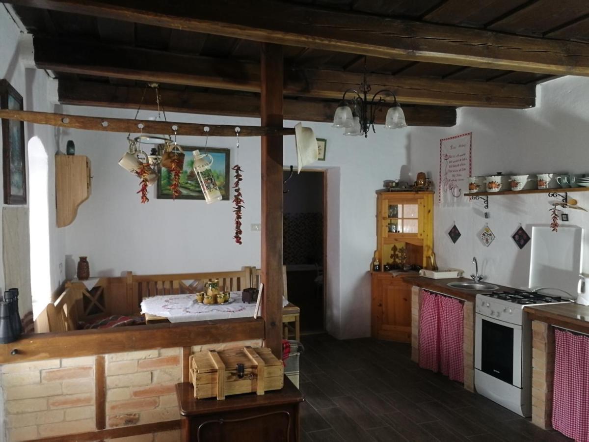 Traditionelles Bauernhaus Flieder Zalaszentgrót Exterior foto