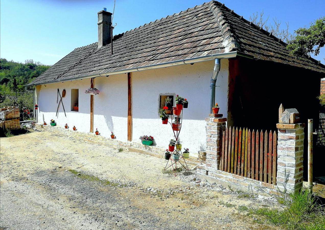 Traditionelles Bauernhaus Flieder Zalaszentgrót Exterior foto